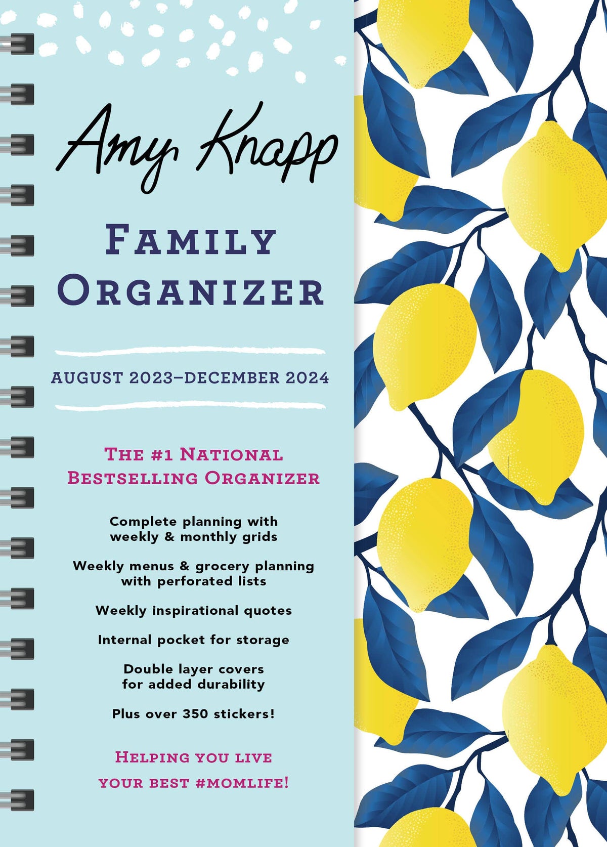 2025 Amy Knapp's Family Organizer Alair Gift Shop